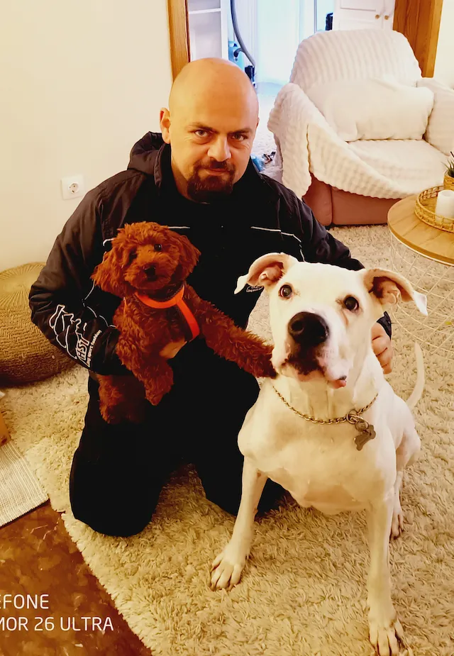 Πέντε βασικά λάθη στην εκπαίδευση σκύλων - athlos training