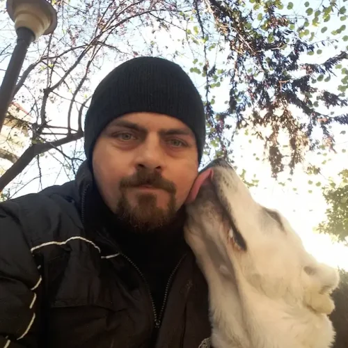 Εκπαιδευτής σκύλων της athlos dog training με λευκό σκύλο alabai (ποιμενικός κεντρικής ασίας) σε στιγμή επικοινωνίας